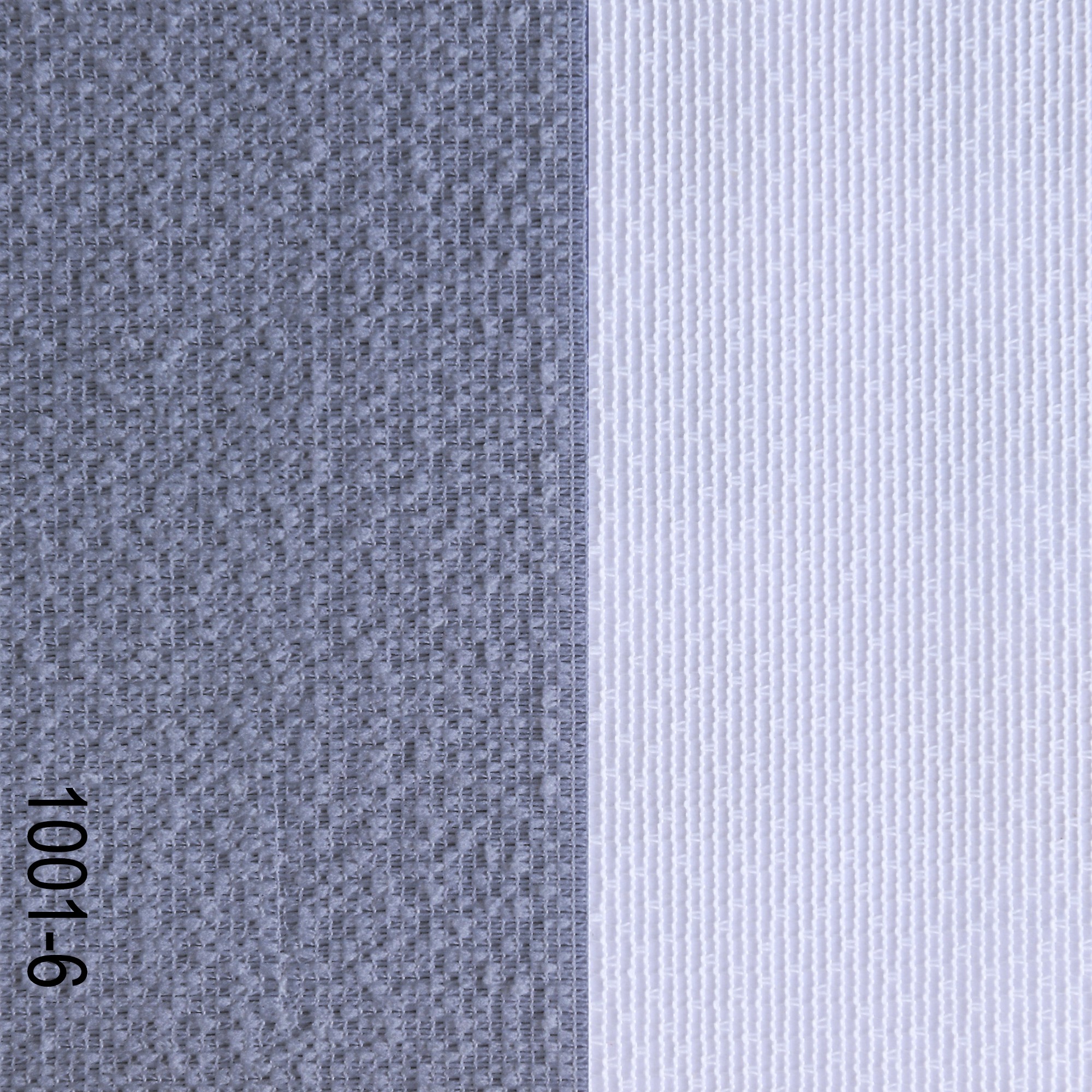 Fabric 1001-6