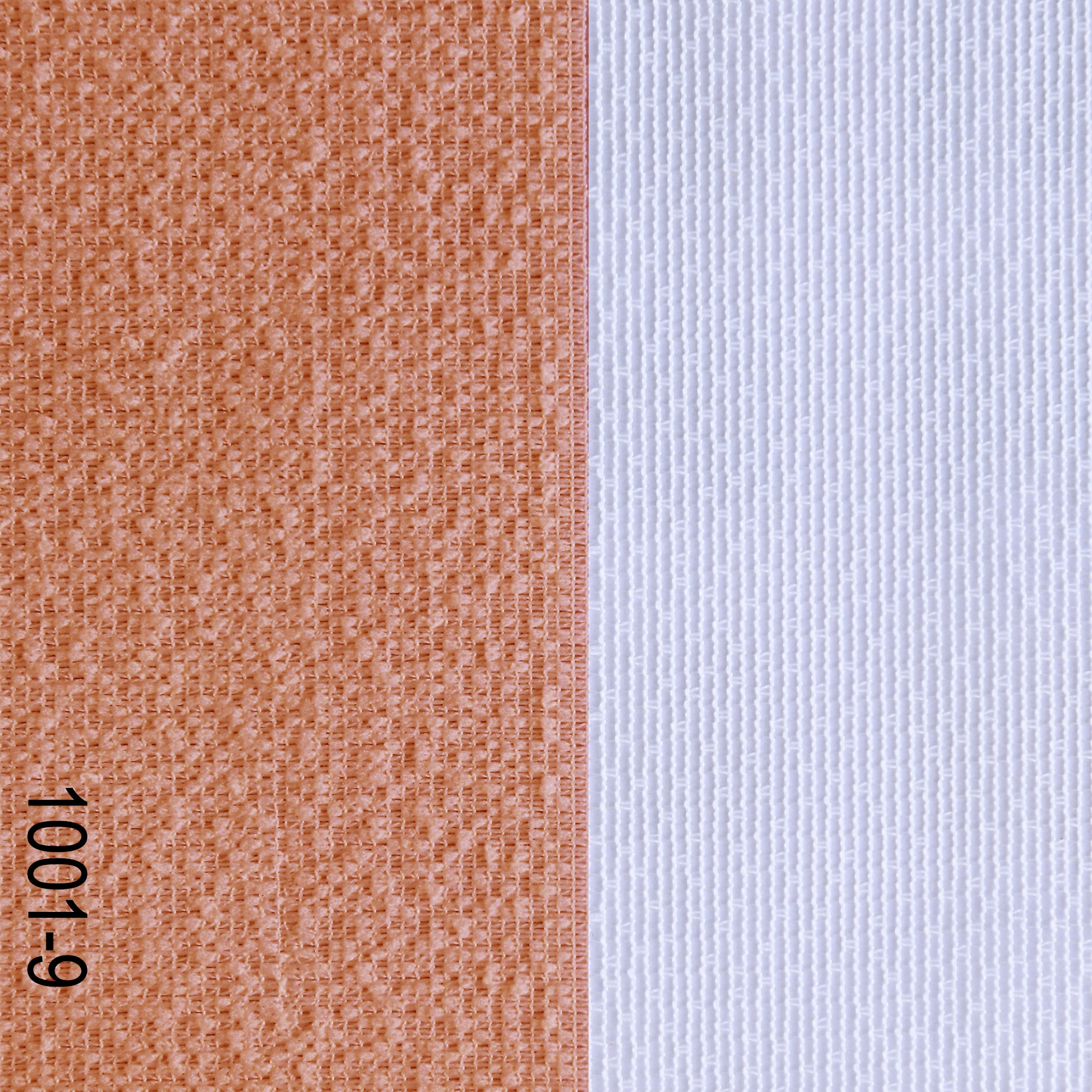 Fabric 1001-9